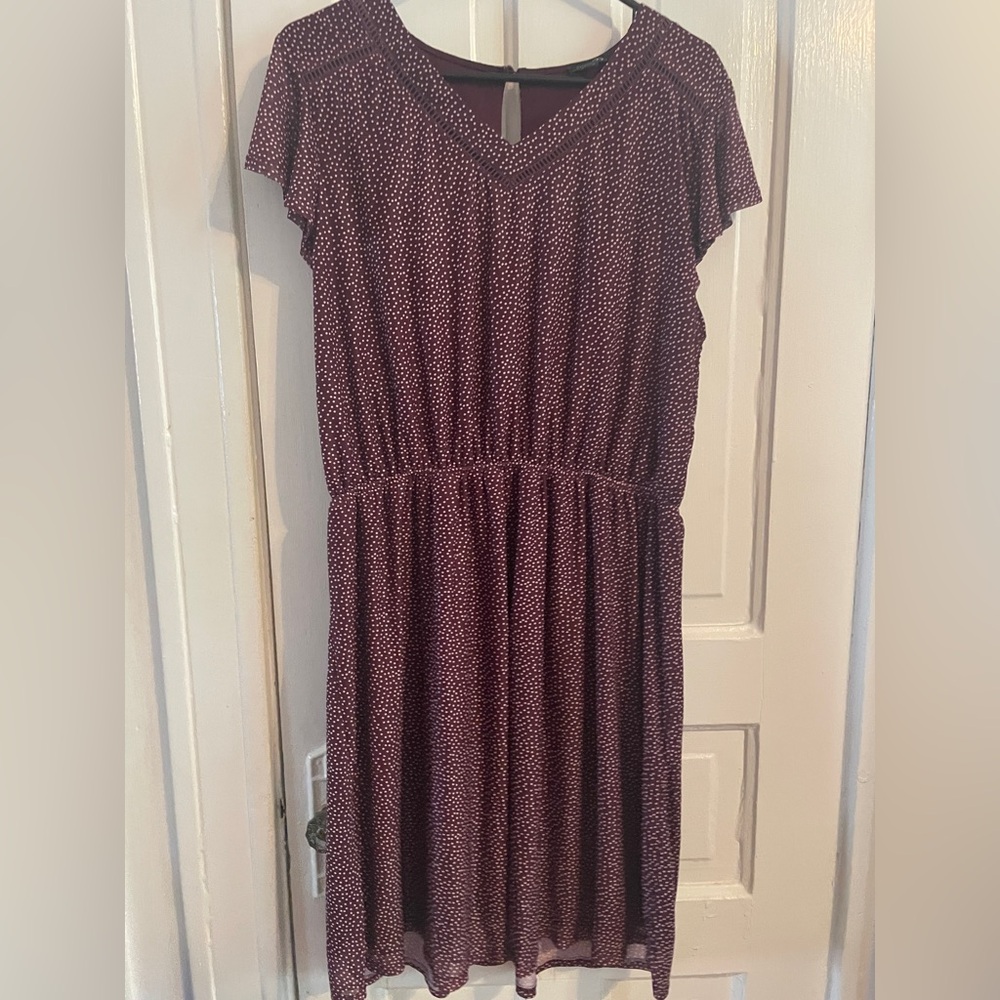 Papermoon Burgundy Polka Dot Midi Dress